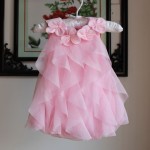 Baby Girl Dress Summer Baby Bodysuits Pink Flowers Chiffon Princess Clothes Newborn Birthday Party Dresses Sleeveless Clothing 