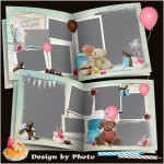 Ulang Tahun Beruang Album Foto