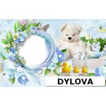 Kue Ulang Tahun Album Foto