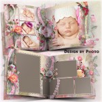 Bunga Ros Album Foto