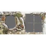 Musim Coklat Album Foto