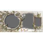 Musim Coklat Album Foto