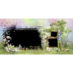 Anak dan Katak Album Foto