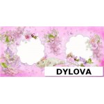 Anak Perempuan Manis Album Foto Anak