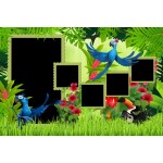 Burung Album Foto Anak