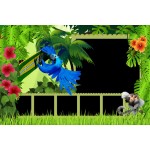 Burung Album Foto Anak