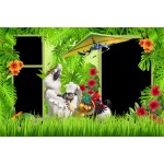 Burung Album Foto Anak