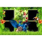 Burung Album Foto Anak