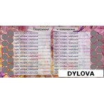 Lulus Sekolah Keren Album Foto