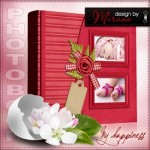 Bayi Perempuan Scrapbook Album Foto