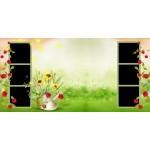 Musim Panas Album Foto Jalan Jalan