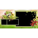 Musim Panas Album Foto Jalan Jalan