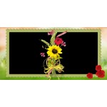 Musim Panas Album Foto Jalan Jalan