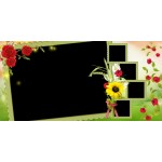 Musim Panas Album Foto Jalan Jalan