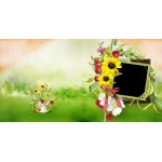 Musim Panas Album Foto Jalan Jalan