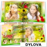 Musim Panas Album Foto Jalan Jalan