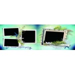 Negara Tropis Album Foto Jalan Jalan