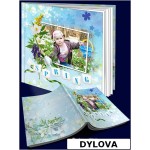 Negara Musim Semi Album Foto Jalan Jalan