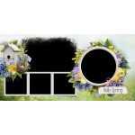 Bunga Musim Semi Album Foto Jalan Jalan