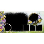 Bunga Musim Semi Album Foto Jalan Jalan