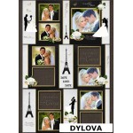 Mawar dan Cincin Pernikahan Album Foto