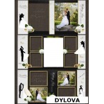 Mawar dan Cincin Pernikahan Album Foto