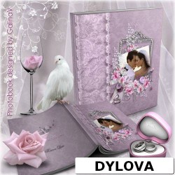 Cincin Pernikahan Titanium Album Foto