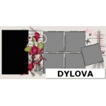 Cinta di Paris Album Foto Pernikahan