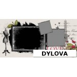 Cinta di Paris Album Foto Pernikahan