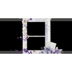 Ungu  Pernikahan Album Foto 