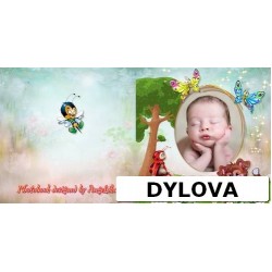 Kerajaan Hutan Album Foto Anak